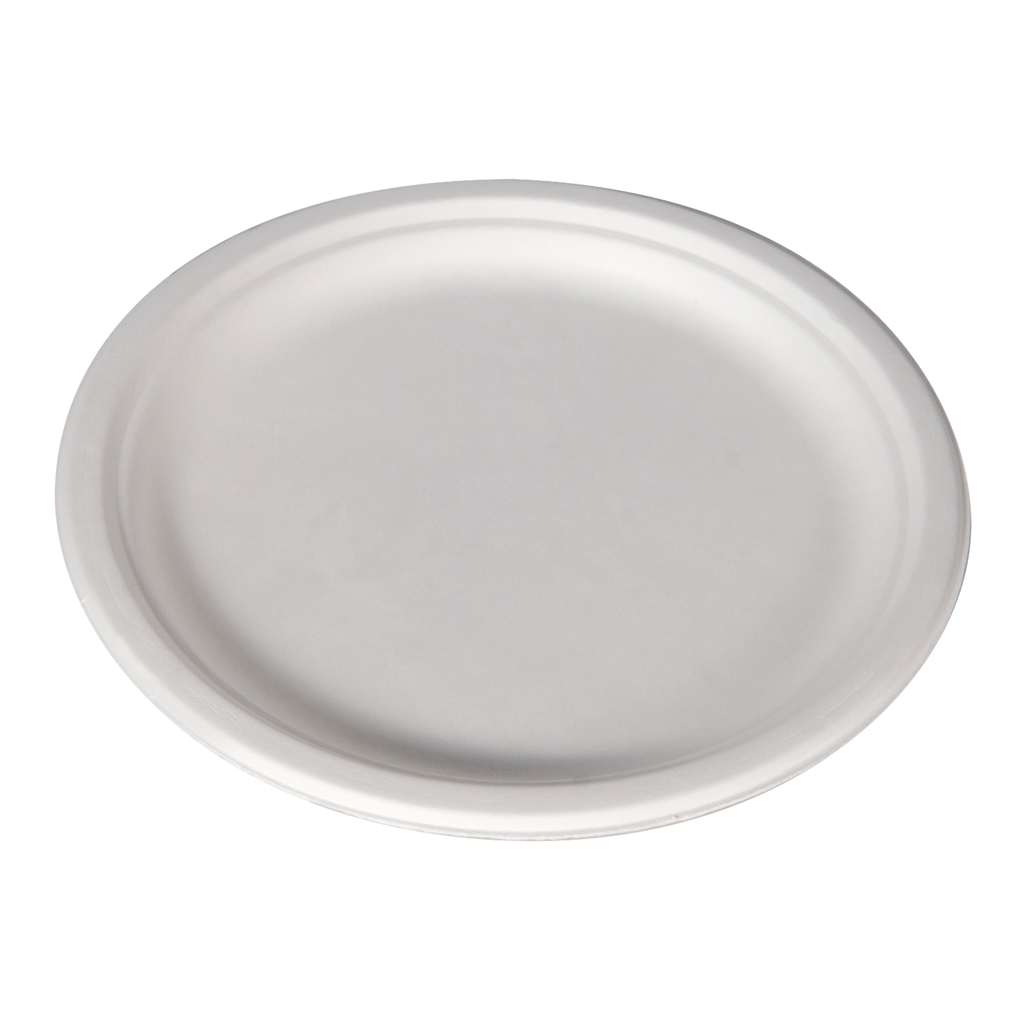 10″ Bagasse Plate