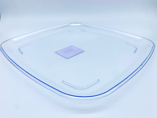 Clear Plastic 12” Square Tray