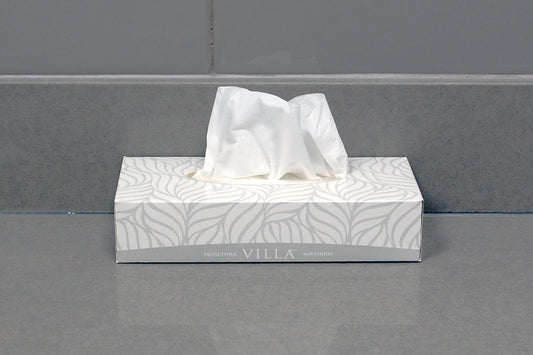 Villa Facial Tissue 100 Shts - 30 Box/case